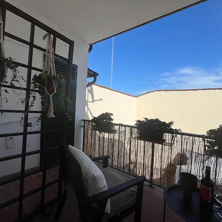Casa Dora Sunflower *