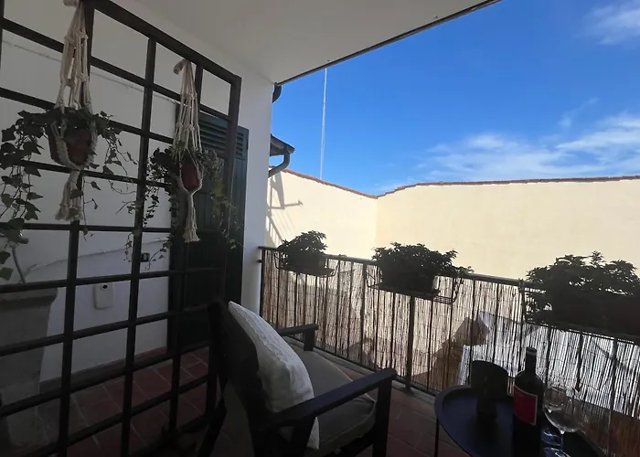 Casa Dora Sunflower *