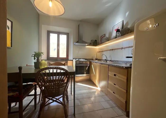 Casa Dora Sunflower